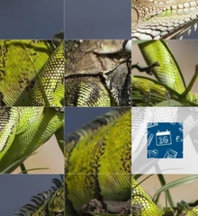 aruba-schuifpuzzel