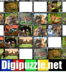 dieren-memory