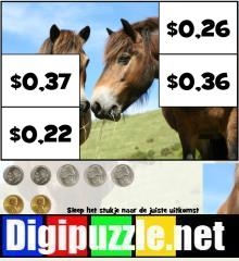 amerikaanse-dollar