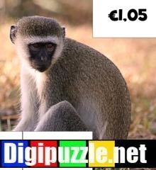 geldbedrag-afronden