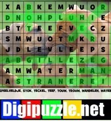 honden-woordzoeker