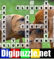 honden-kruiswoordraadsel