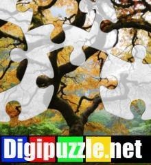 herfstpuzzel