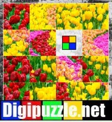 lente-schuifpuzzel