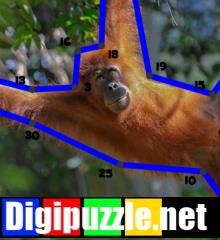lijnpuzzel-som
