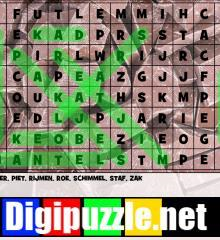 sint-woordzoeker