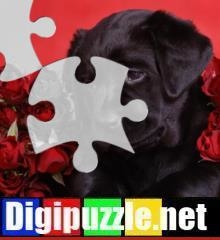 valentijn-legpuzzel