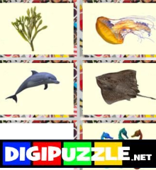 dieren-in-de-zee-memory