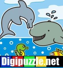 zomerverschillen-zeedieren