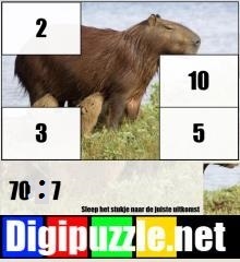 deeltafels