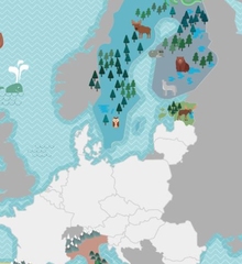 landen-eu-puzzel