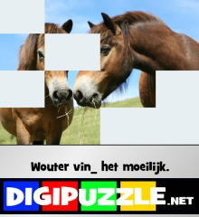 fotoquiz_d-t-dt