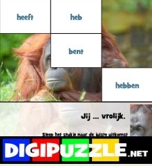 zijn-en-hebben-werkwoordspelling