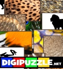 Animal Clutter Puzzle, Digipuzzle.net