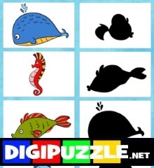 schaduwen-zeedieren