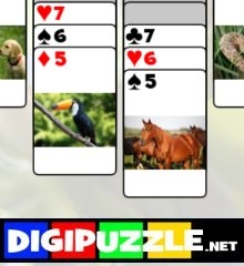 dieren-solitaire