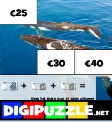 eurobiljetten-fotopuzzel