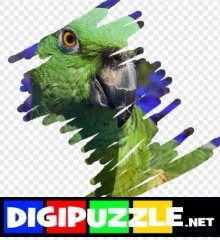 dieren-gummen