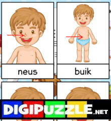 menselijk-lichaam-woordkaarten
