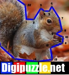 lijntjespuzzel