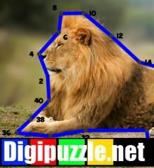 lijnpuzzel