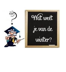 winter-quiz