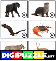 word-scramble-frans